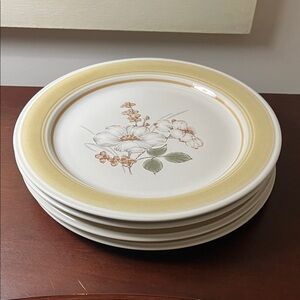 Impressions by Daniele Country Day Dinner Plates (set of 4)